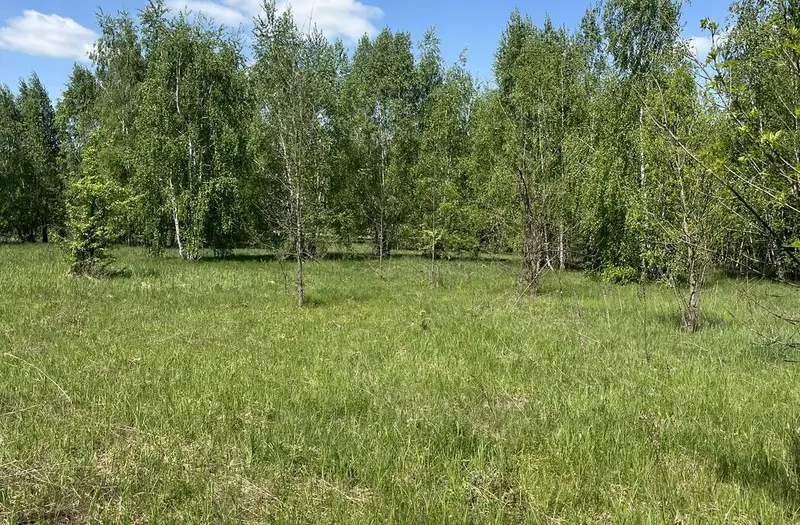 С/Х — лот №1270930