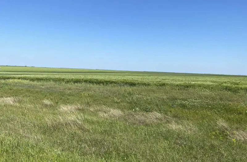 С/Х — лот №1270934