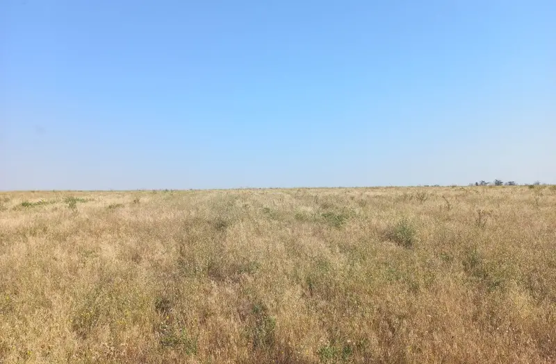 С/Х — лот №1271254