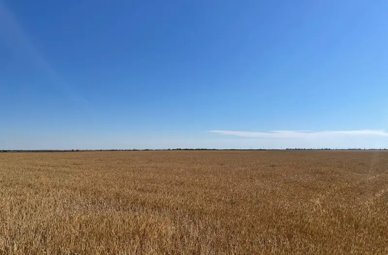 С/Х — лот №1271388