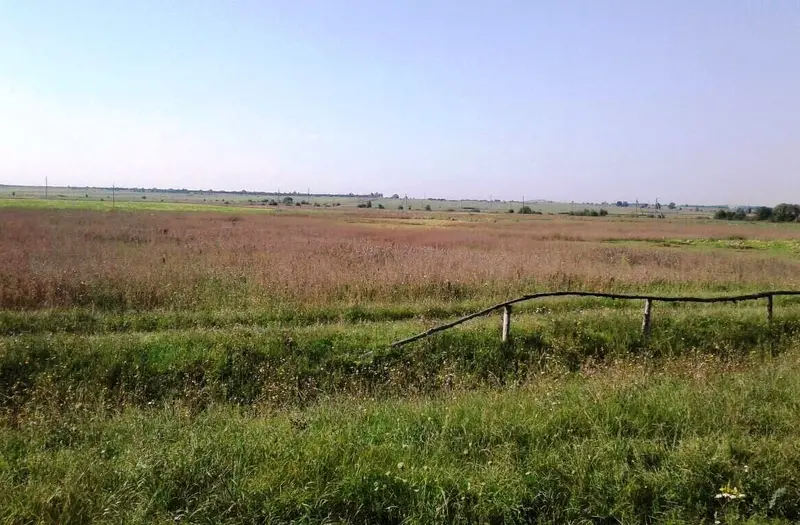 Комерція — лот №1271582