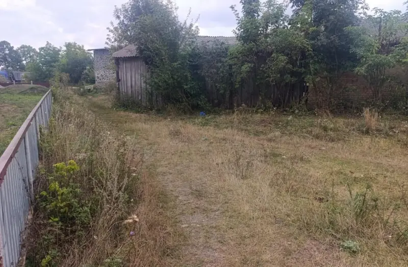 Комерція — лот №1271645