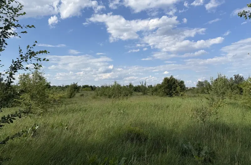 Житлова — лот №1271908