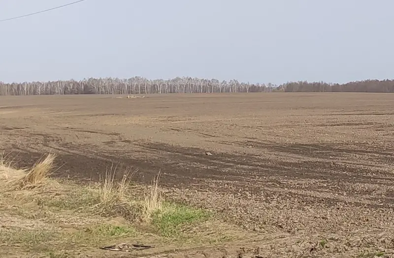 С/Х — лот №1271913