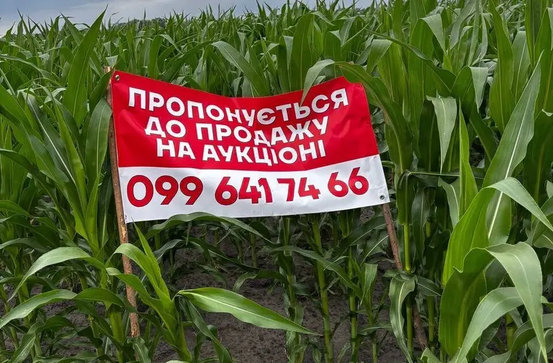 С/Х — лот №1272074