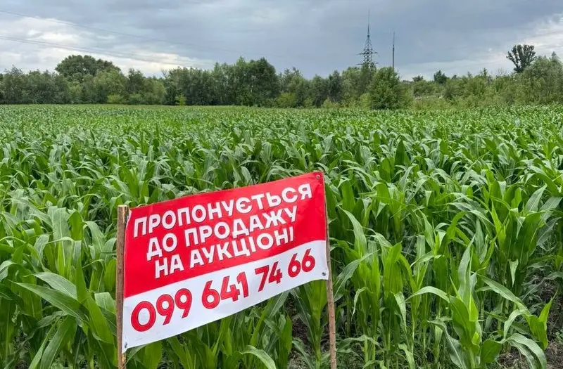 С/Х — лот №1272076