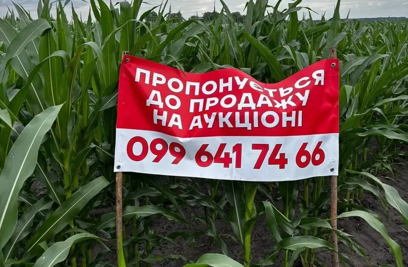 С/Х — лот №1272081