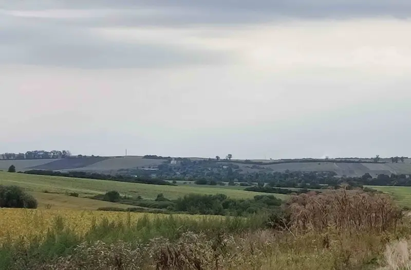С/Х — лот №1272082