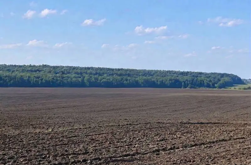 С/Х — лот №1272156