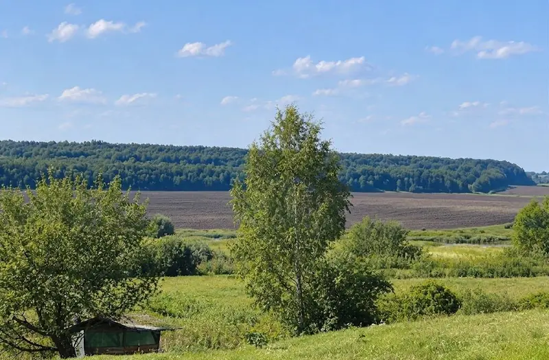 С/Х — лот №1272161