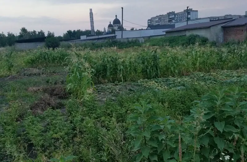 Комерція — лот №1272251