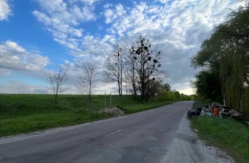 С/Х — лот №1272267