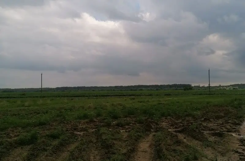 С/Х — лот №1272867