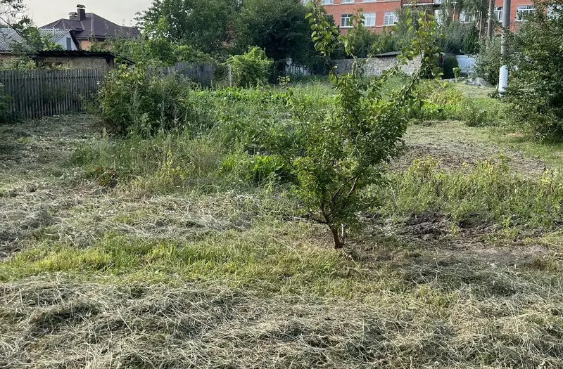 Комерція — лот №1273136