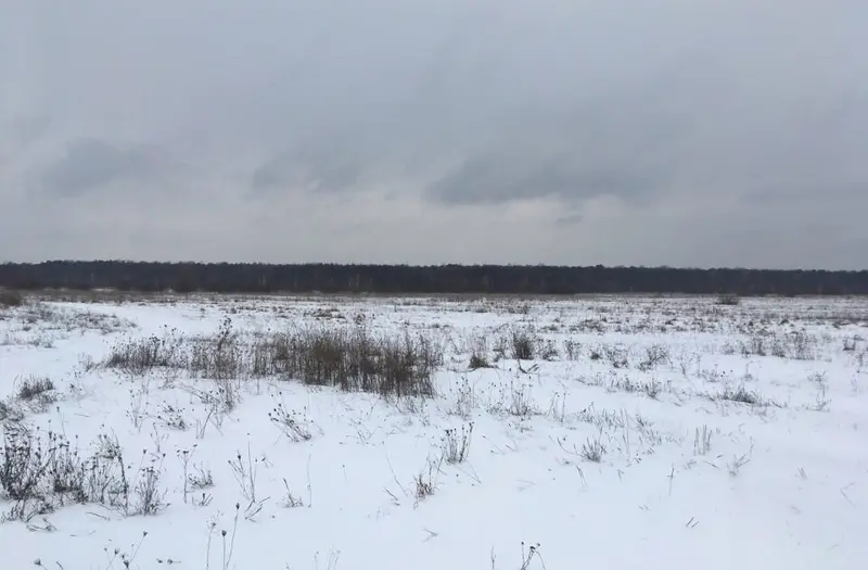 Житлова — лот №1272957