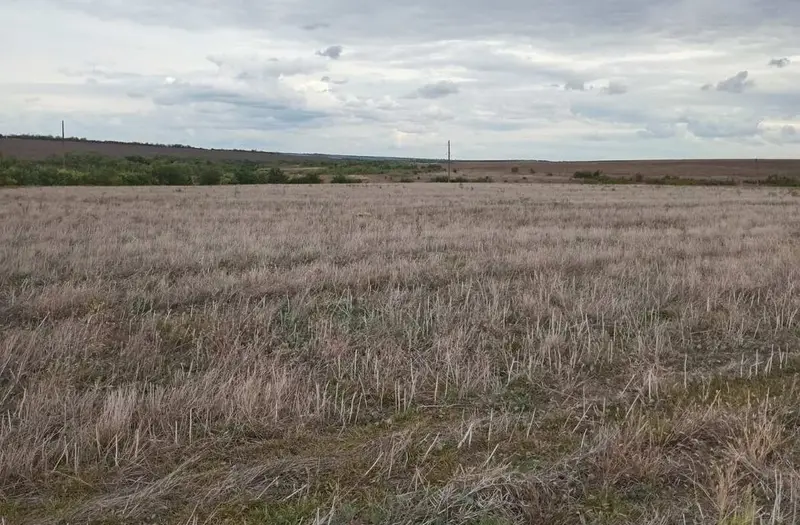 С/Х — лот №1273187