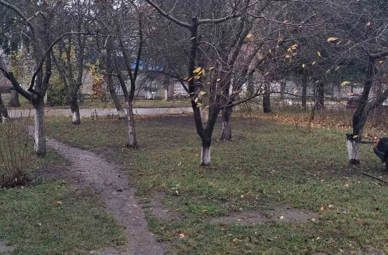 Комерція — лот №1273228