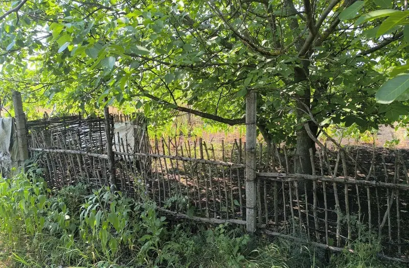 С/Х — лот №1275561