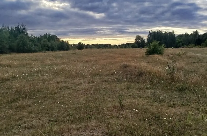 С/Х — лот №1273290