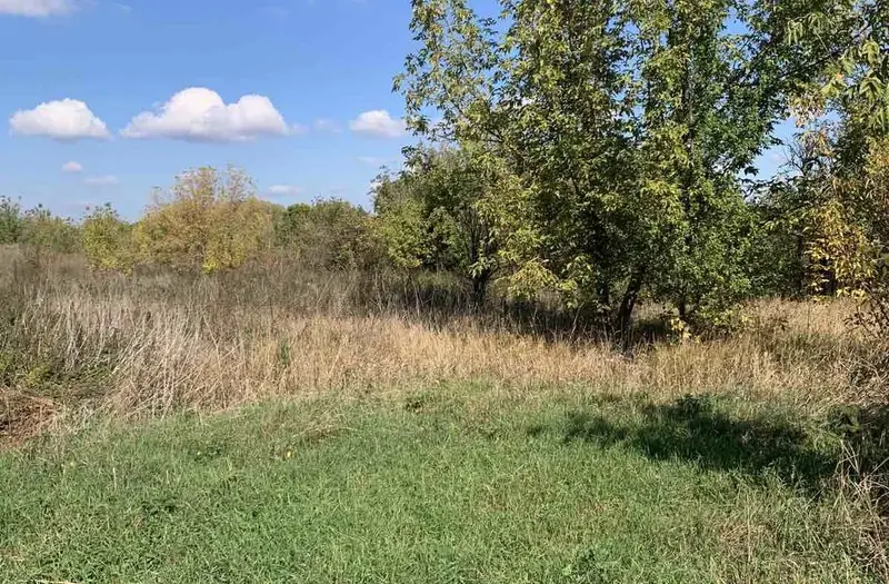 С/Х — лот №1273294