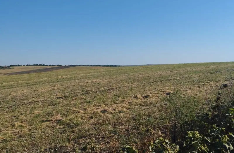 С/Х — лот №1275136