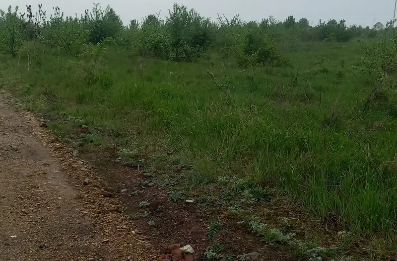 С/Х — лот №1273460