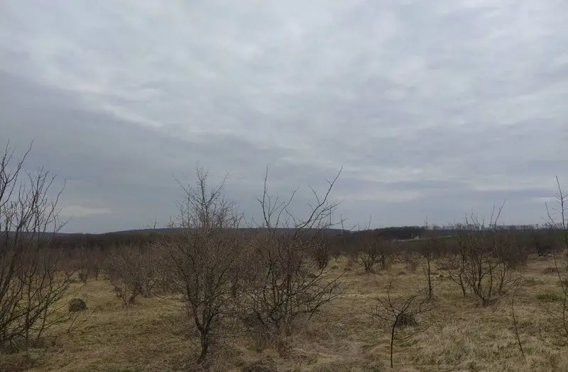 С/Х — лот №1273511