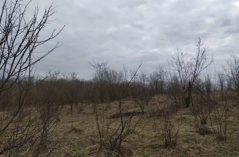 С/Х — лот №1273539
