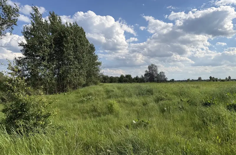 Житлова — лот №1273578