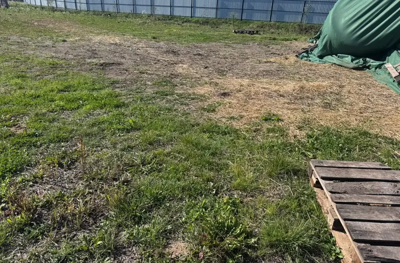 С/Х — лот №1273630
