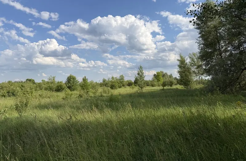 Житлова — лот №1275060