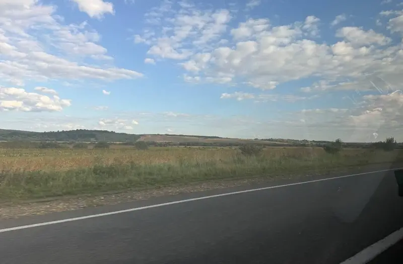 С/Х — лот №1273633