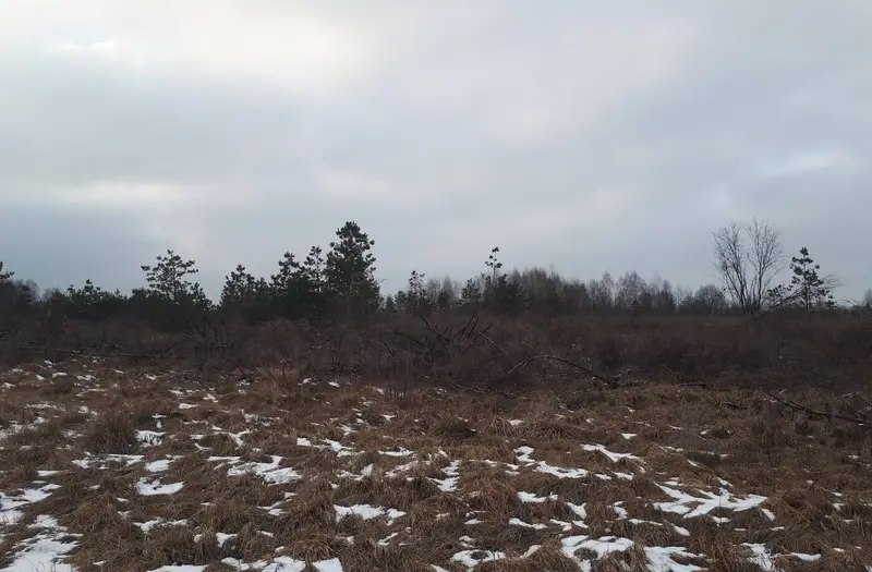 С/Х — лот №1273699