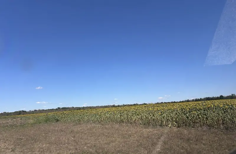 С/Х — лот №1274824