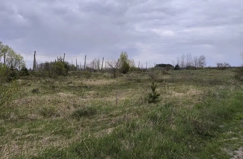 Пром — лот №1274080