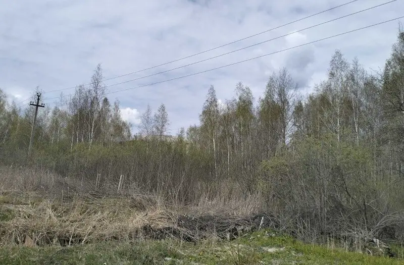 Пром — лот №1274081