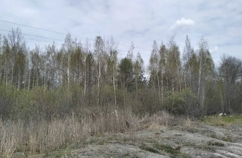 Пром — лот №1274087