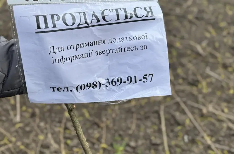 С/Х — лот №1274089