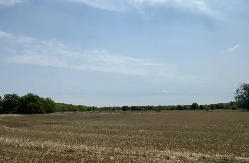 С/Х — лот №1274464