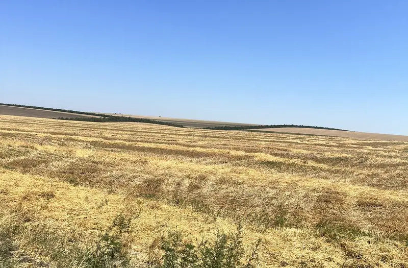 С/Х — лот №1274417