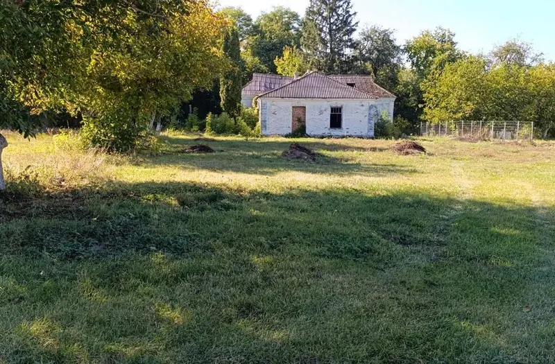 Комерція — лот №1274140