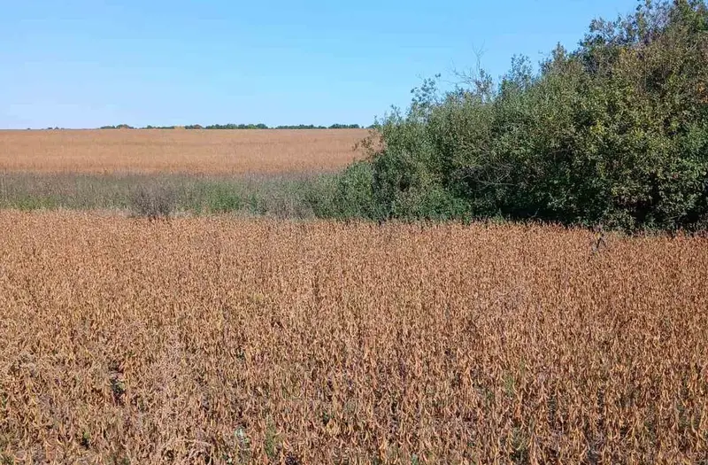 С/Х — лот №1274141