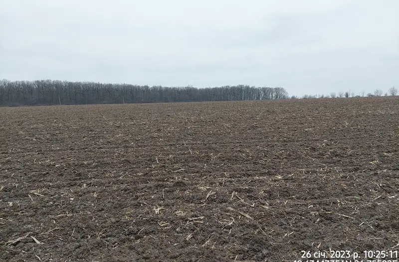 С/Х — лот №1274230