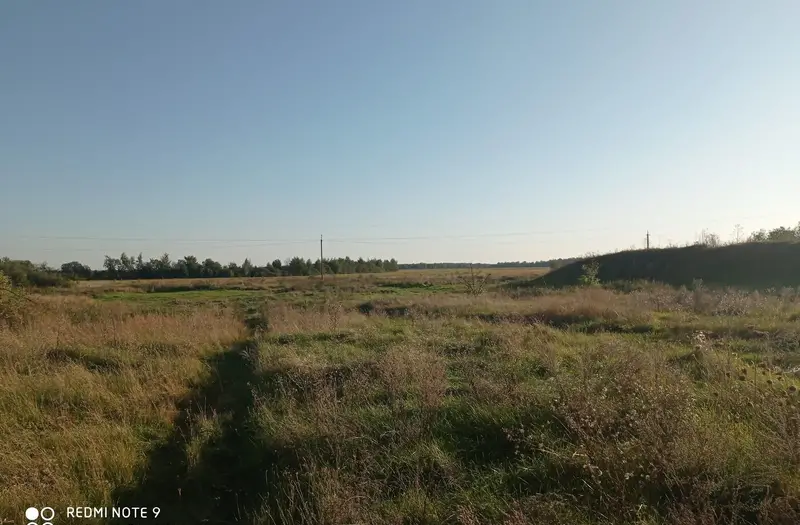 С/Х — лот №1274551
