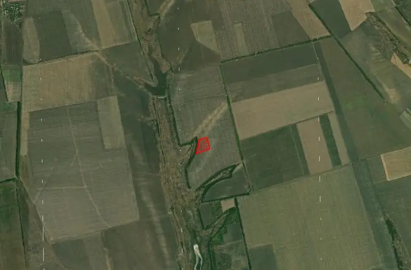 С/Х — лот №1274819