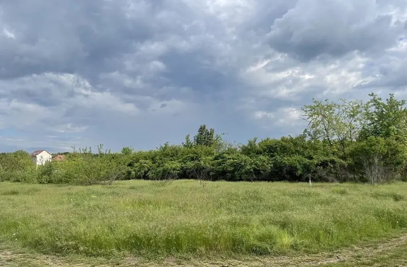 Житлова — лот №1274857