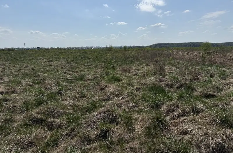 Комерція — лот №1275282