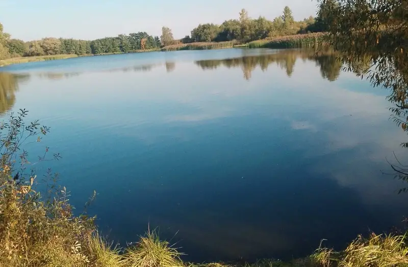 С/Х — лот №1275584