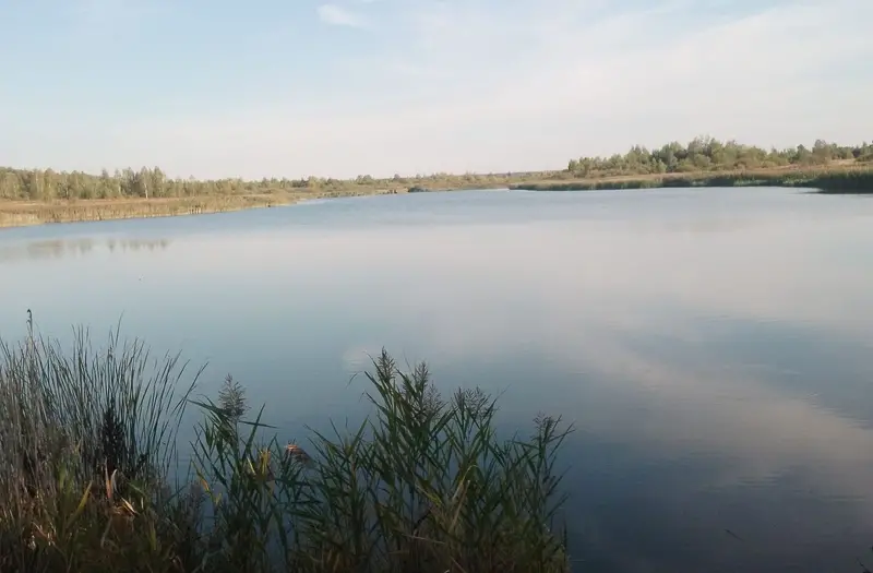 С/Х — лот №1275588