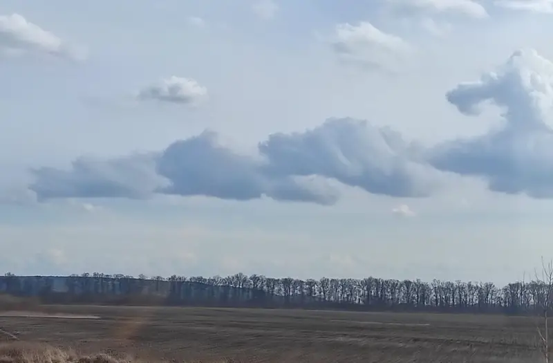 С/Х — лот №1275604